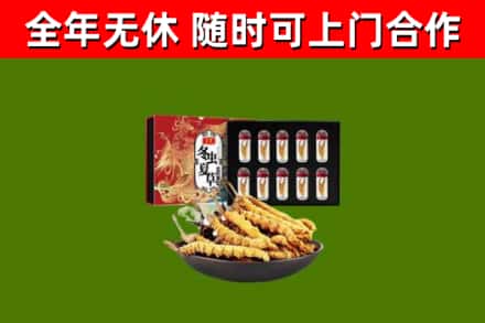 港口区回收冬虫夏草价格
